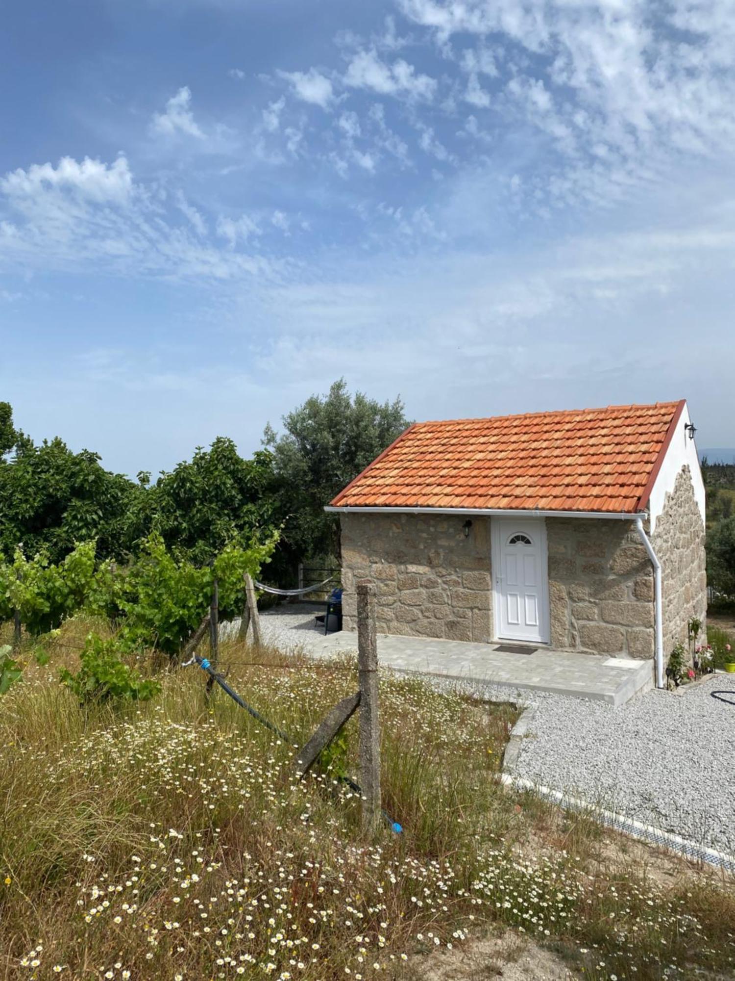 Вилла Casa De Pedra Em Vinha No Dao Нелаш Экстерьер фото